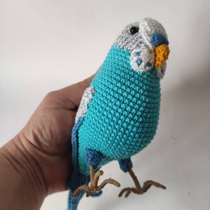 Budgie amigurumi Crochet parrot Realistic bird crochet
