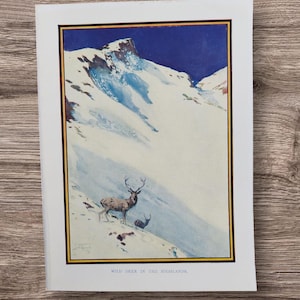 Stampa di un libro antico autentico degli anni '20, raffigurante un cervo selvatico nelle Highlands della Scozia, litografia, dipinto di un cervo delle Highlands scozzesi nella neve