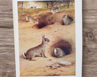 Original Antique 1920s Woodland Wild Rabbits Book Picture Print : Bunny Rabbits & Deer Lithograph Wall Art Gift , Bunnies in their Burrows