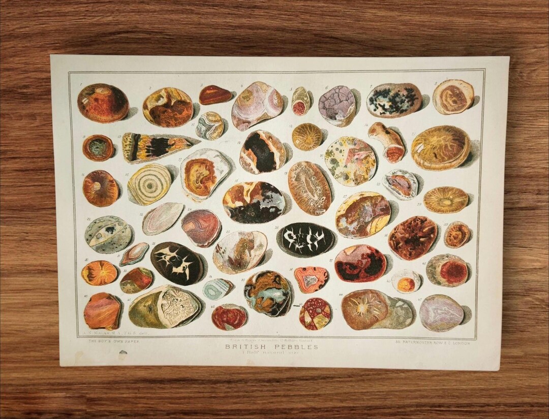 Antique British Pebbles Print, Victorian Petrology Chart, 1885 ...