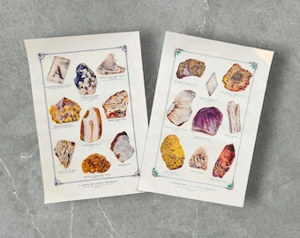 Pode incluir: Duas gravuras educativas de estilo vintage com ilustrações detalhadas de vários minerais. Cada folha de papel retangular exibe vários espécimes de rochas rotulados em tons de castanho, roxo, amarelo e branco, dentro de uma borda decorativa.