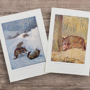 May include: Two vintage art prints featuring illustrations of wolves. One print depicts wolves in a snowy landscape, with text at the bottom. The other shows a wolf with a baby near a tree, with text at the bottom.