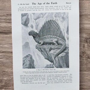Stampa antica del 1915 su un libro di dinosauri, Dimetrodon Edaphosaurus, litografia, lucertola con pinna dorsale, rettili, dinosauri, arte murale, regalo preistorico