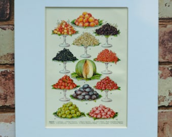 Antique 1907 Fruit Platters Book Print Picture in A4 Mount , Fruits on plate Kitchen Wall Art Decor Gift , Peaches Melon Plums Strawberries