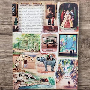 Stampa artistica originale del libro degli anni '50, immagine delle gallerie d'arte, mostre, acquari, giardini botanici, statue di cera e zoo del British Science Museum