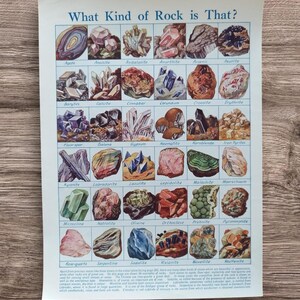 Originele vintage stenen en edelstenen exemplaren collectie boek afdrukken foto lithografie, rotsen edelstenen muur kunst cadeau, agaatkwarts