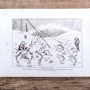 Original antiguo 1910 El Polo Norte Osos polares Morsas Focas Telegrafía Libro de dibujos animados para niños Impresión Imagen Litografía Ilustración Regalo