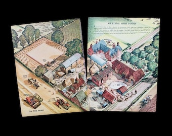 Vintage 1950s Farmyard Book Print Picture Lithographs , Animal and Crops Farming Wall Art