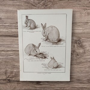 Livre pour enfants original antique des années 1920 lapin impression photo Illustration croquis art mural cadeau, lapins mignons, cadeaux lapin blanc