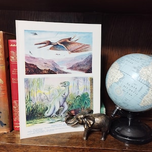 Stampa originale vintage anni '50 di dinosauri preistorici, libro di animali, immagine, arte murale per bambini, pterodattilo e tirannosauro, dinosauri volanti