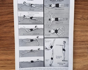 Genuine Vintage 1950s Swimming and Diving Book Print Picture ,  Swimming Lessons Strokes Diagram Wall Art Decor Gift , Swimming Costumes