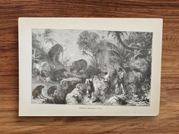 アンティーク　フレーム 鳥の絵画　リトグラフ アンティーク フレーム 鳥の絵画 リトグラフ