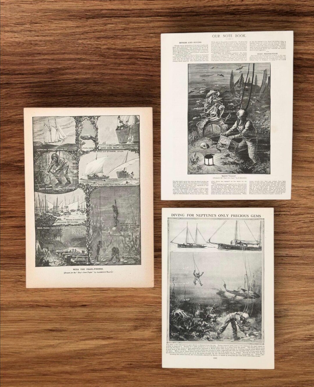 Set of 3 Antique Vintage Deep Sea Diving Book Print Picture Lithographs ...