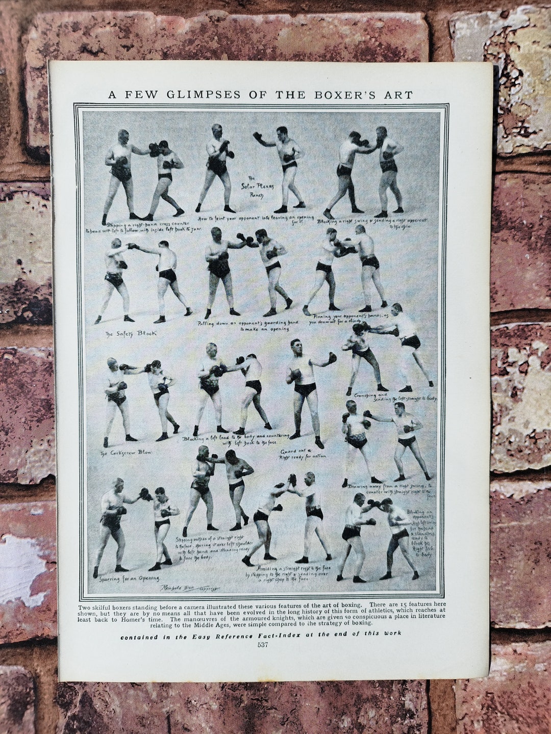 Vintage 1940s Art of Boxing Book Lithograph Print Boxers Punches and