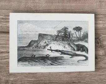 Originele antieke Victoriaanse paleontologie uit de jaren 1880 krokodil reptielen dinosaurus fotoboekpagina foto, Oolitische periode, Ankylosaurus Wall Art cadeau