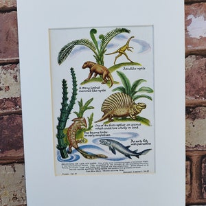 Stampa originale del libro vintage degli anni '50 sulle fasi dell'evoluzione dei dinosauri, dei rettili e dei mammiferi in formato A4 - Arte murale per la camera dei bambini con i dinosauri