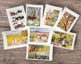 Set of 8 Antique Children in The British Countryside Book Print Picture Ephemera , Animals Nature Flowers Scrap Book Junk Journal Craft Art