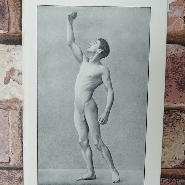 Genuine Antique Victorian Male Nude Still Life Model Book Print Picture Photograph , Anatomy of The Human Male Body Wall Art Décor Gift
