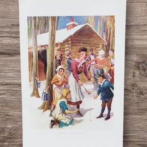 Original Antike 1916 Zapfen Die Ahorn Zucker Bäume Buch Kunstdruck Bild Lithographie Illustration, Nordamerikanische Ahornsirup Ernte