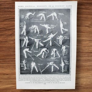 Vintage 1950s Cricket Match Illustration: English Sports Art Print