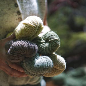 May include: A collection of yarn skeins in various shades of green and brown. The yarn is held in a person's hands, with the background blurred, suggesting an outdoor setting. The yarn appears soft and suitable for knitting or crochet projects.