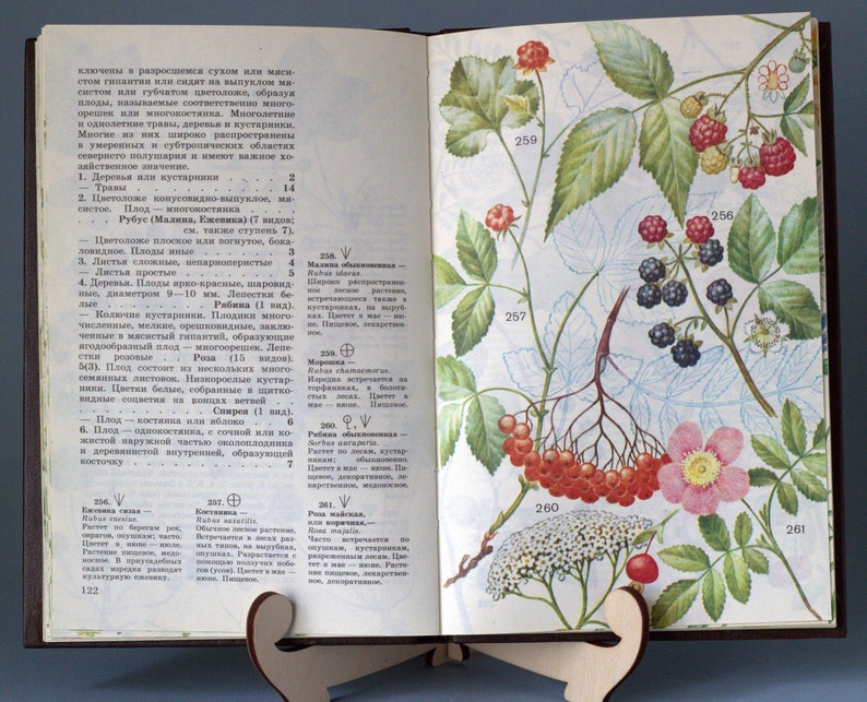 Medicinal herbs botanical book Vintage nature books Plant | Etsy