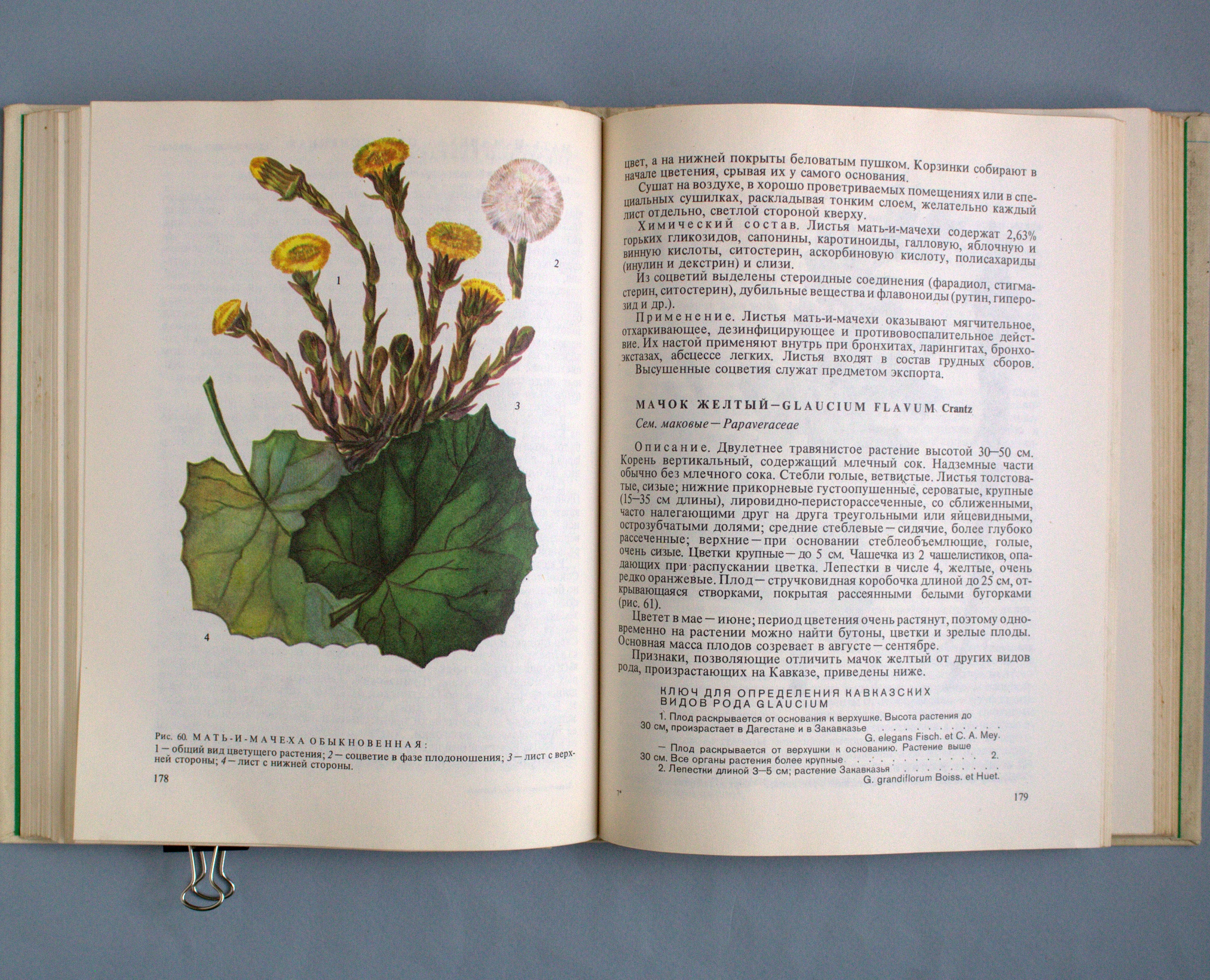 Medicinal herbs plant books Vintage botanical book Cottagecore | Etsy
