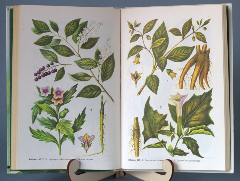 Medicinal herbs botanical book Phytotherapy book vintage Etsy