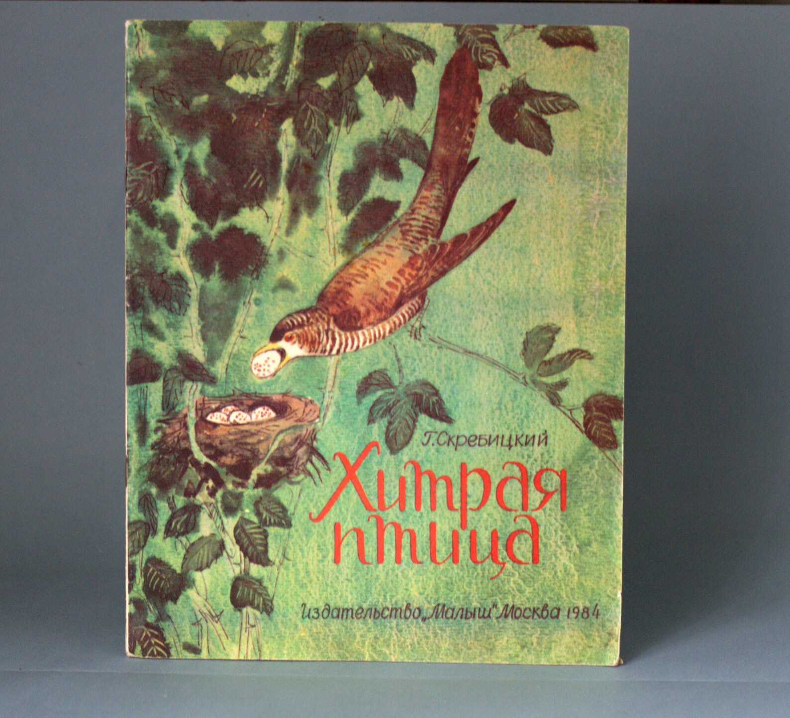Скребицкий сказки следопыта. Скребицкий – писатель-натуралист. Скребицкий портрет. Ушан скребицкий рисунок. Скребицкий г.