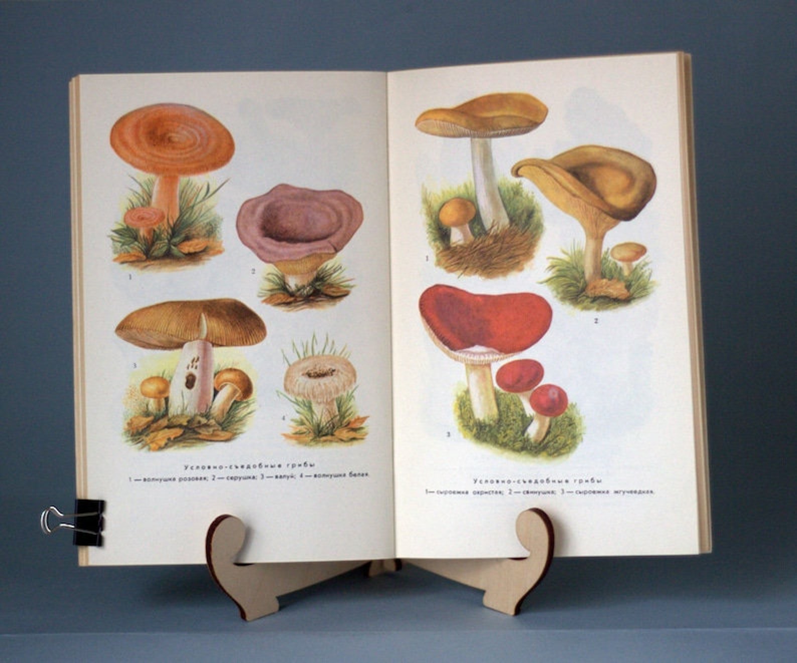 Mushrooms book Vintage illustrated book Nature guide Etsy