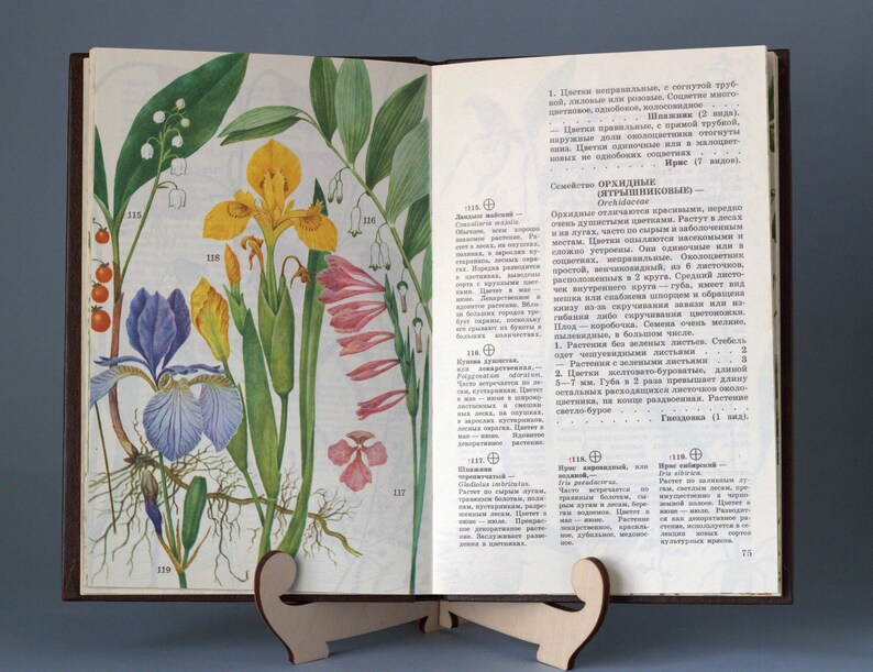 Medicinal Herbs Botanical Book Vintage Nature Books Plant Etsy