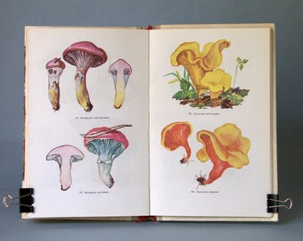 Mushroom book Vintage botanical book, Mushroom kit ephemera