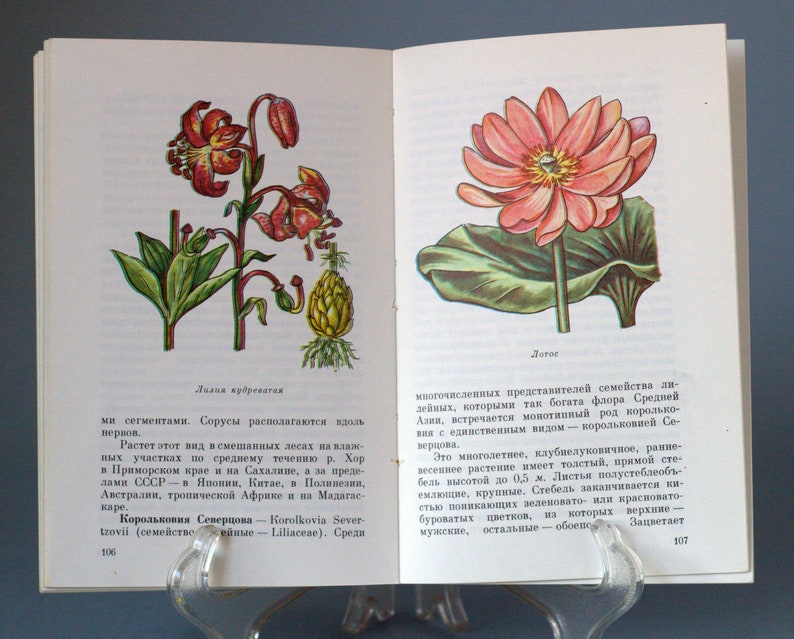 Ботаническая иллюстрация книга