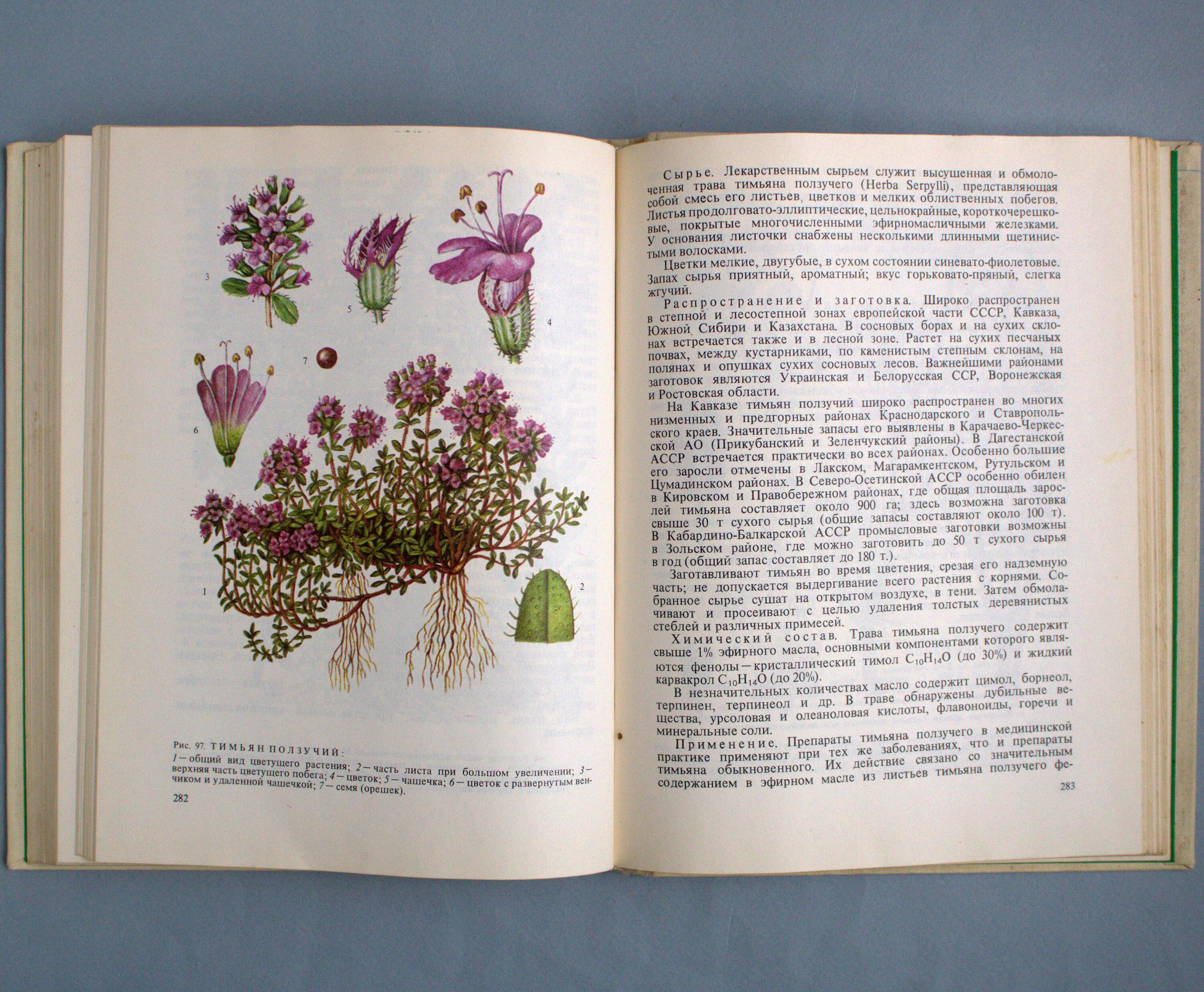 Medicinal herbs plant books Vintage botanical book Cottagecore Etsy