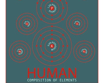 Human Composition of Elements A3 downloadable colour print