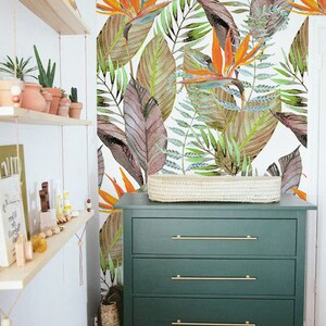Bird of paradise floral Tropical mural Removable wallpaper Self adhesive decor Bird of paradise floral Tropical mural Removable wallpaper Self adhesive decor