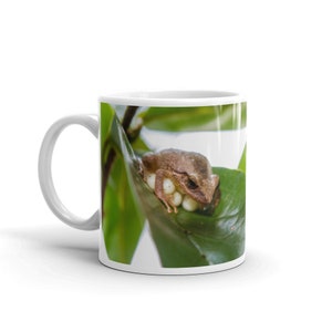 Puerto Rican Coqui frog Photo Mug