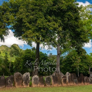 May include: A row of large, gray stones stand in a grassy field, surrounded by lush green trees. The stones are arranged in a semi-circle, with a small hill in the background. The sky is blue with white clouds.