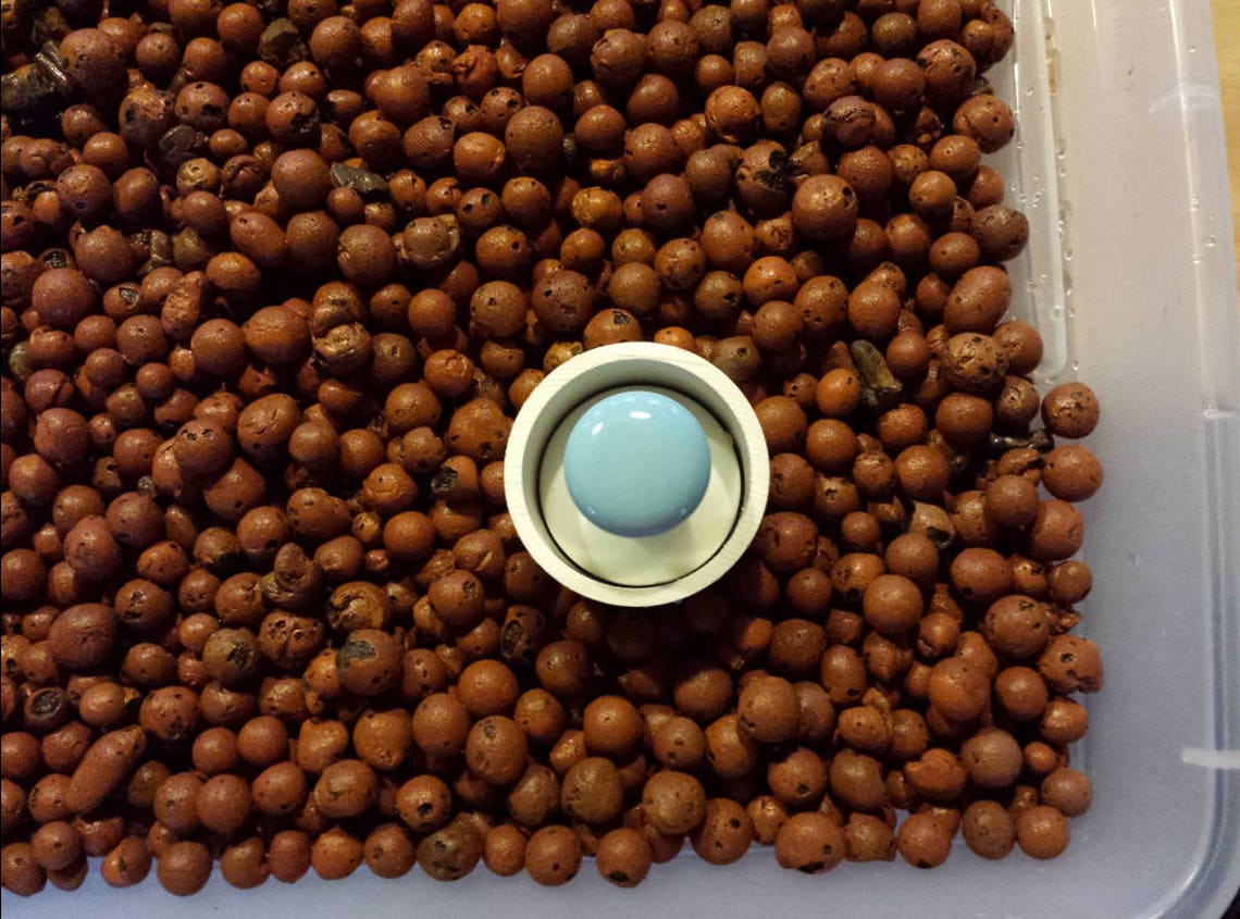 Aquaponics Bell Siphon Kit 6 MEDIA Mini Garden Dutch Bucket 7000