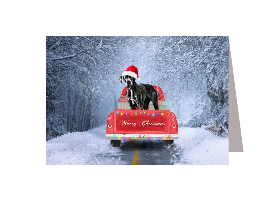 Great Dane Christmas Cards Great Dane in Snow - Etsy
