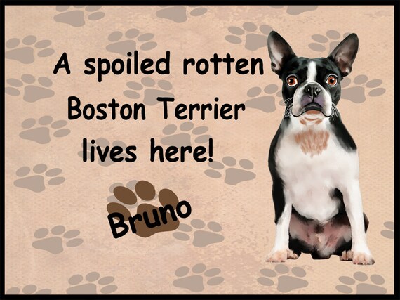 Boston Terrier Dog Floormat Spoiled Rotten Boston Terrier Doormat Dog Lovers Doormat Dog Photo Doormats Dog Doormat Dog Welcome Mat