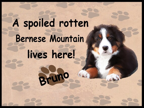 Bouvier Bernois Vit Ici Floormat Dog Lovers Paillasson Chien Photo Paillassons Paillasson Chien Chien Bienvenue Mat