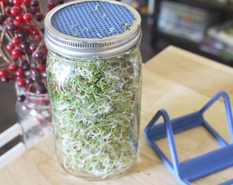 Mason Jar Sprouting Lid and Stand Set (wide mouth jars ONLY)