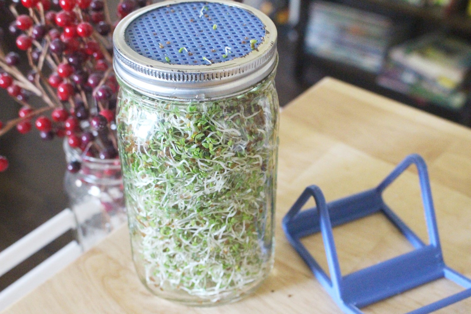 Mason Jar Sprouting Lid and Stand Set wide Mouth Jars ONLY Etsy