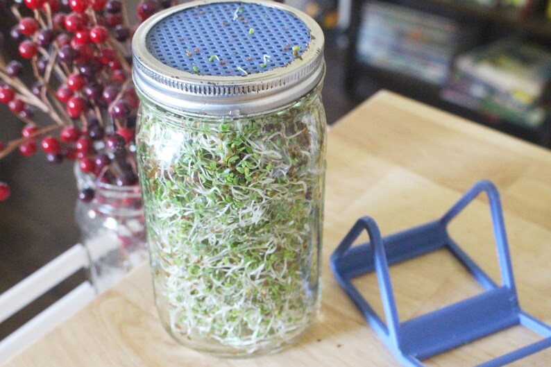 Mason Jar Sprouting Lid and Stand Set wide Mouth Jars ONLY Etsy