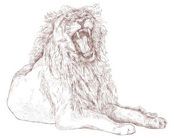 Roaring Lion Line Drawing Printable Art Home Decor Office - Etsy Roaring Lion Line Drawing Printable Art Home Decor Office - Etsy