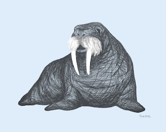 Printable Art Walrus Drawing in Blue | 8x10, 11x14 Digital Download Wall Art | Cute Nursery Art Home Decor Modern Animal Art