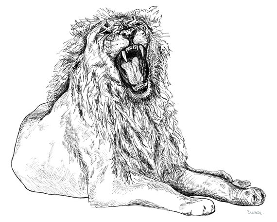 How to Draw a Growling Lion – Learn to Draw Books