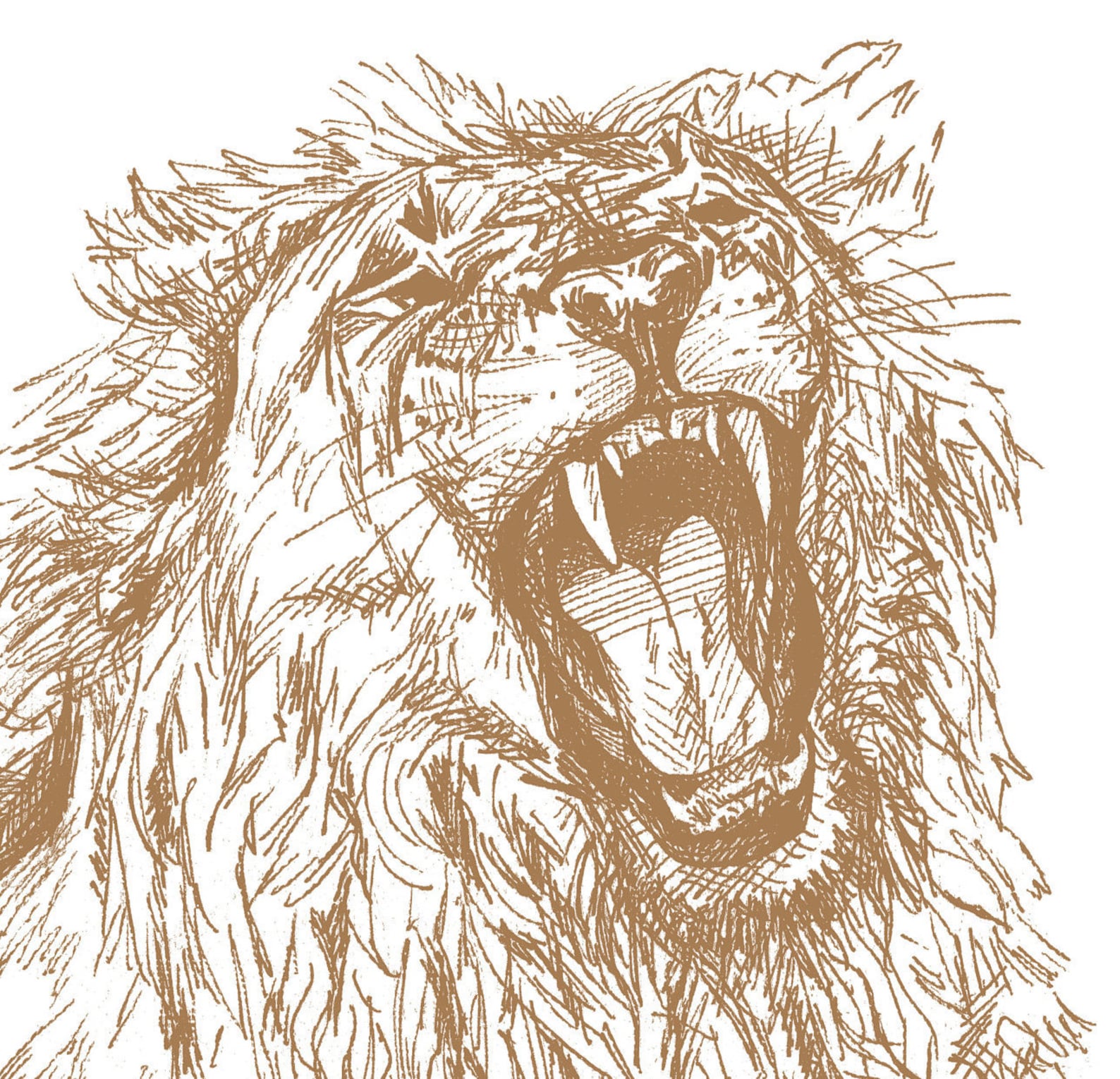 Brüllender Löwe Linie Zeichnung Druckbare Kunst Home Dekor - Etsy.de