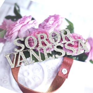 Puede incluir: Un broche plateado con la palabra "SOROR" encima de "VANESSA" escrita con brillantes pedrería. El broche está sobre un fondo de rosas rosas y un fondo blanco.
